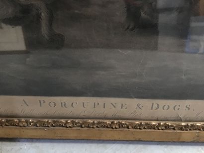null MURPHY, after SNYDERS. Porcupine Dogs. Engraving. Folds, wetness, small tear...