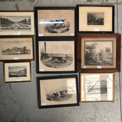 Lot of engravings: Hunting dogs after Langlume...