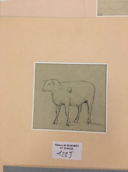 null Carton contenant divers dessins et gravures : études de moutons, bateau, personnages,...