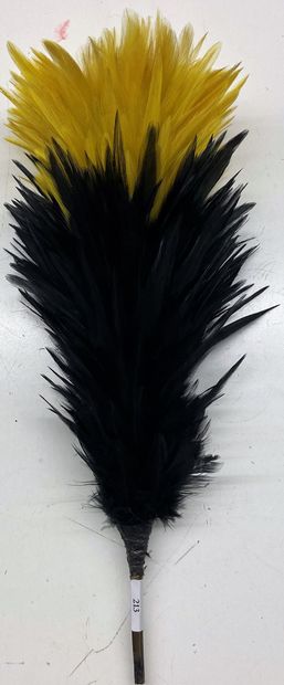 null Plumet noir et jaune en haut ; longueur 26 cm.

Epoque premier tiers du XIXe....