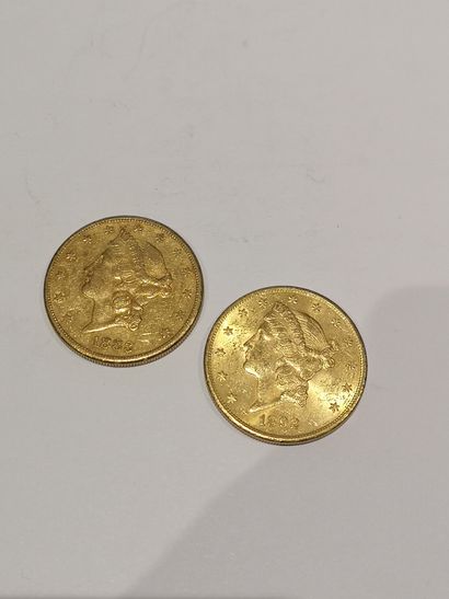 null 
2 pièces de 20 dollars modèle Liberté datées 1883 et 1892




Usures
