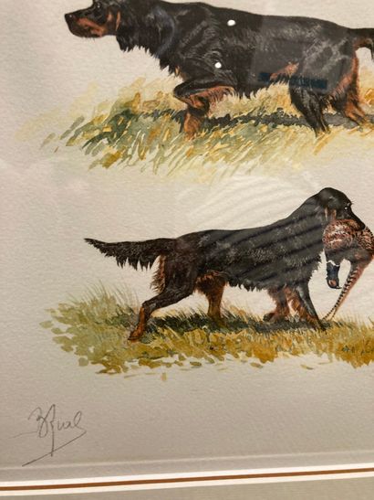 null RIAB. Setter, duck and pheasant print, framed

33 x 26 cm 

Lot sold as is