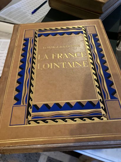 Lot de livres : La France Lointaine et L'Afrique...
