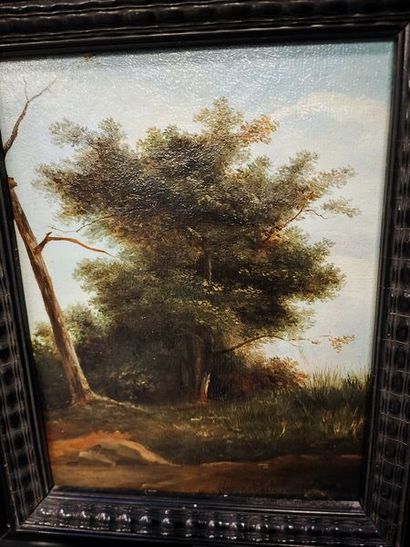 null Landscape with trees. Oil on cardboard in a blackened wooden frame. 

Size:...
