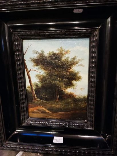 null Landscape with trees. Oil on cardboard in a blackened wooden frame. 

Size:...