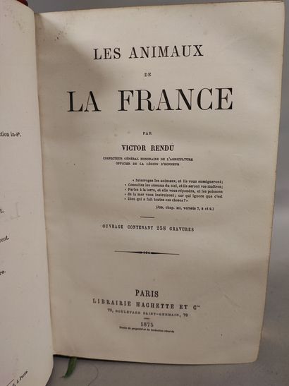 null RENDU Victor. Les animaux de la France. Paris, Hachette & Cie, 1875. Grand in-8,...