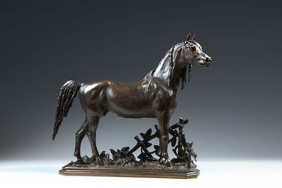 null Christophe FRATIN (1801-1864). Cheval arabe à la barrière. Bronze à patine brune....