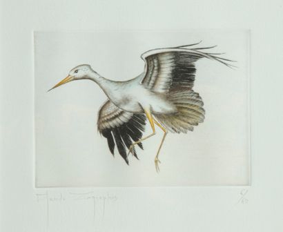 null Claude ZOGRAPHOS. The stork. Engraving in colors signed in lower left and numbered...