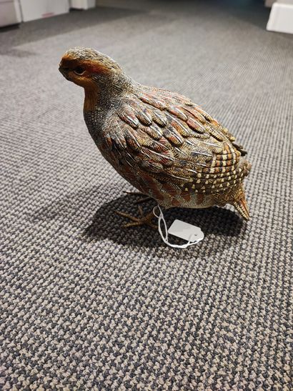 null Silvestry. Grey partridge. Original polychrome terracotta, the legs in painted...