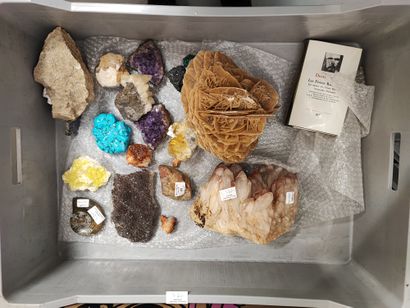 null Lot de pierre dures, améthyste, quartz et divers

(ref. : 23 et 5)