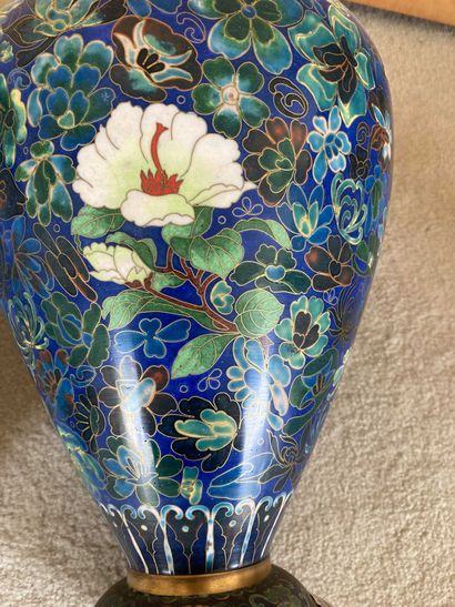 null Chine

Deux vases balustres cloisonnés, H. : 39 cm (ref. : 46)