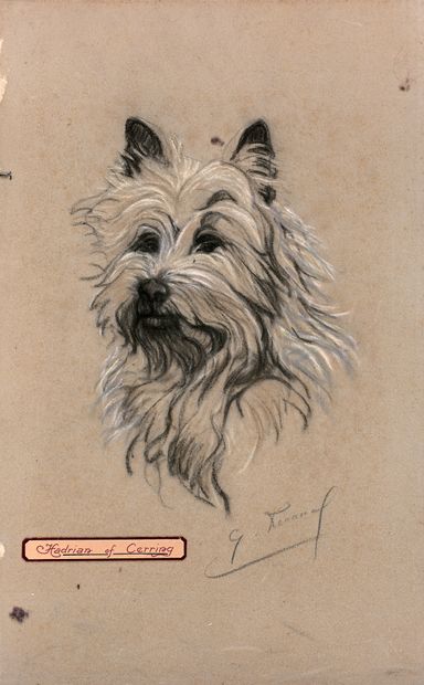 ECOLE ANGLAISE DU XXE SIÈCLE Portrait du chien Hadrien of Cerring
Crayon noir et...