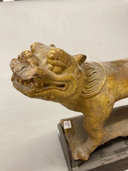 CHINE Tuile faîtière en terre vernissée ocre représentant un lion bouddhique debout.
Dynastie...