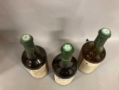null 2 bouteilles VIN JAUNE D'ARBOIS, Rolet 1979 (et, LB) et 1 de 1996 (et)