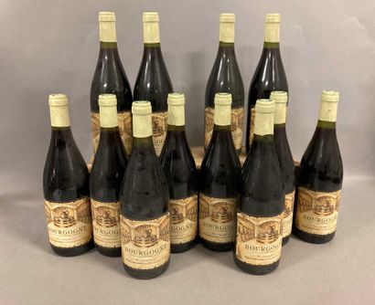 null 12 bouteilles BOURGOGNE Maurice Gavignet 2000 (elt)