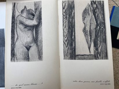 null 
MAX ERNST Catalogues expositions




-histoire naturelle, dessins inédits....