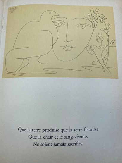 null 
Lot de 9 ouvrages concernant Pablo PICASSO : 




-Jean COCTEAU Picasso. Librairie...