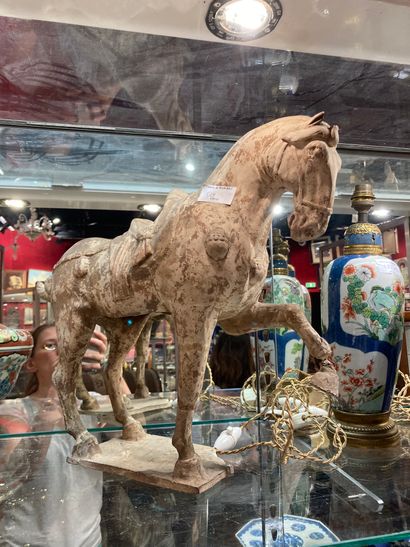 Terracotta horse in the Tang style

(accidents...