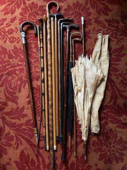 null Lot of canes, umbrellas and various umbrellas (ref 109)