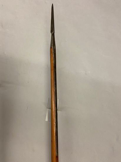 null Deux lances de cavelerie, l'une de type 1823 avec son talon, hampe en bois postérieure,...