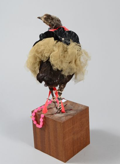 null In the taste of Mathilde Castello Branco. Naturalized and dressed hen
