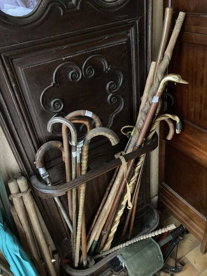 null Lot of canes including seat cane, ox nerf and various (in the states)