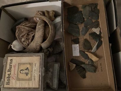 Lot of cut stones and fossils