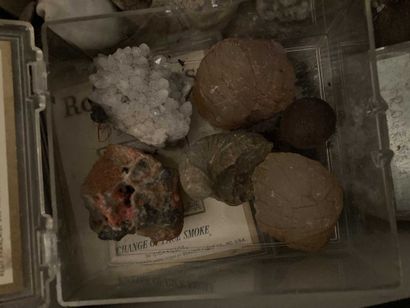 null Lot of cut stones and fossils