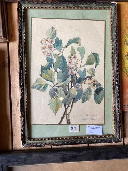 null Lot of 7 framed Bouquets of flowers. Watercolors, gouaches. Panels, canvases...