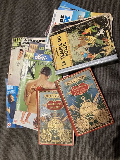 null Lot de bandes dessinées Harra Kiri, dont Tintin, Obélix et deux volumes Jules...