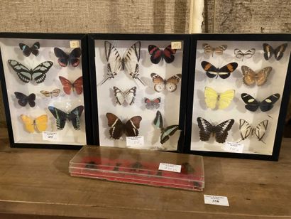 
Set of 3 butterfly frames. One joined 1...