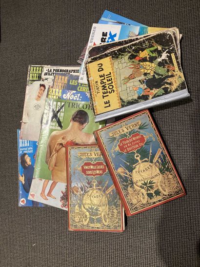null Lot de bandes dessinées Harra Kiri, dont Tintin, Obélix et deux volumes Jules...