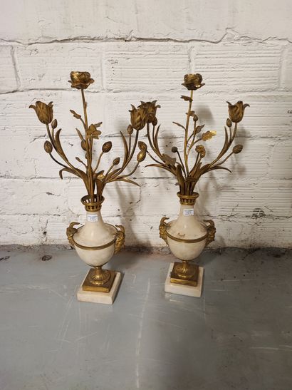 Paire de vases montés en marbre et bronze...