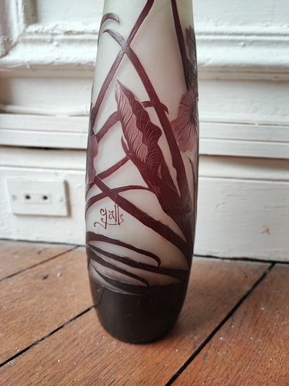 null Galle. Vase soliflore à décor d'iris. Haut.: 27 cm.