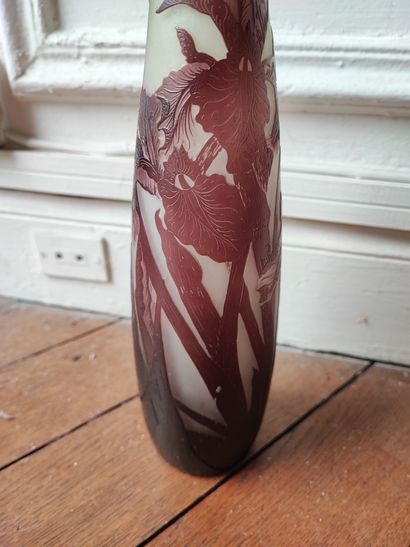 null Galle. Vase soliflore à décor d'iris. Haut.: 27 cm.