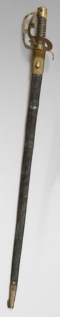 null Dragon sword model 1783, brass guard with flat branches of the arco type, decorated...