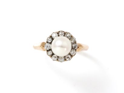 null 
Gold ring 750 thousandths, centered on a pearl button of about 6.9 mm surrounded...
