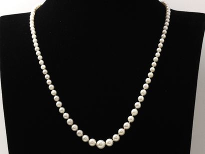 Necklace composed of a fall of pearls of...