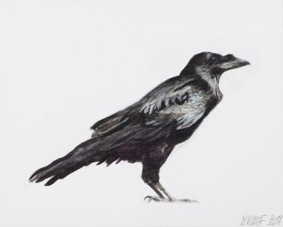 null Nicolas BIGOT. Grand corbeau. Acrylique sur carton toilé signée et datée 2019...