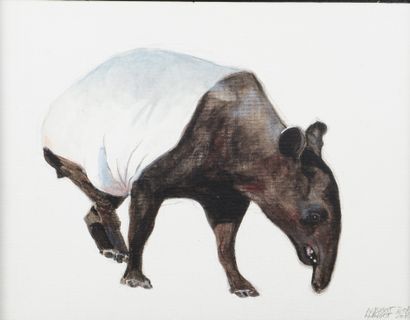 null Nicolas BIGOT. Tapir of Malaysia. Acrylic on canvas board signed and dated 2018...
