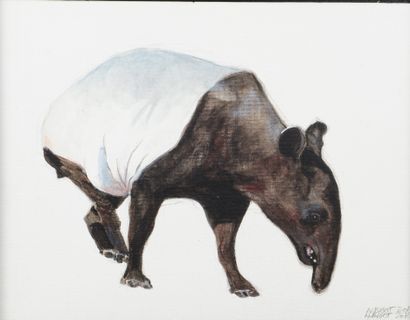 null Nicolas BIGOT. Tapir de Malaisie. Acrylique sur carton toilé signée et datée...