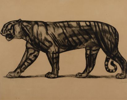 Paul JOUVE (1878-1973). Tigre. Lithographie...
