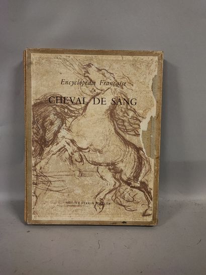 Encyclopédie française du Cheval de Sang....