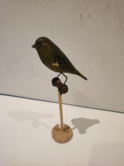 null Greenfinch (verdié). Calling all wood by Serge Bourelly to hunt small birds...
