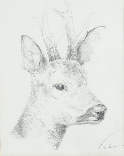 null Blaise PRUDHON. Study of a deer. Pencil on paper signed on the lower right and...