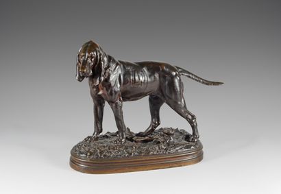 null Prosper LECOURTIER (1851-1925). Dog of the pack Saint Hubert, mark L. Bronze...