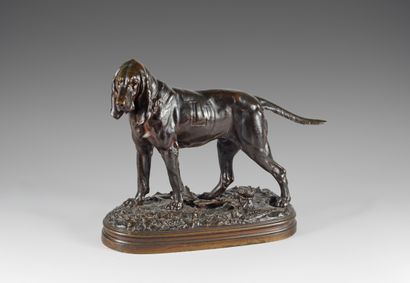 null Prosper LECOURTIER (1851-1925). Chien de meute Saint Hubert, marque L. Bronze...