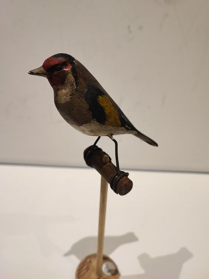 null Goldfinch (cardounille). Calling all wood by Serge Bourelly to hunt small birds...