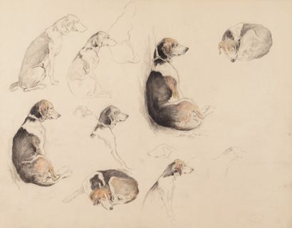 null Xavier de PORET (1894-1975). Étude de chiens. Dessin au fusain et rehauts d’aquarelle...