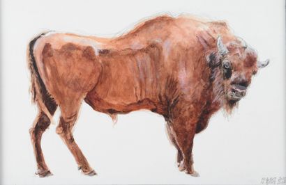 null Nicolas BIGOT. Bison of Europe. Acrylic on canvas board signed and dated 2018...